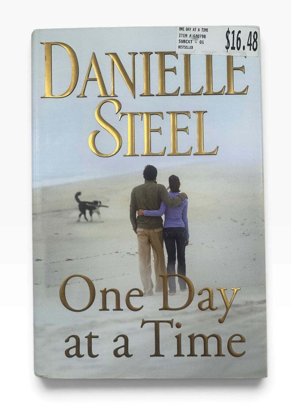 Danielle Steel One Day at a Time Hardcover 2009 Family Drama Romance Novel